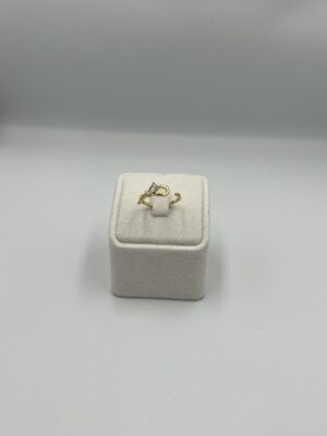 Parıltılı R Yüzük